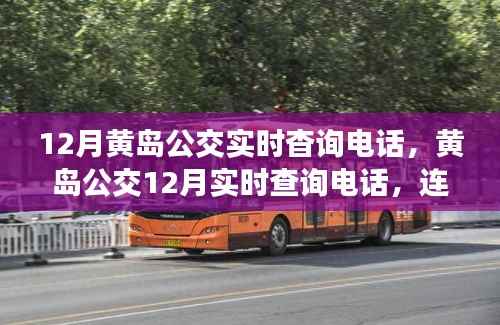 黄岛公交实时查询电话,连接城市脉动与时代进步的交通桥梁(12月版)