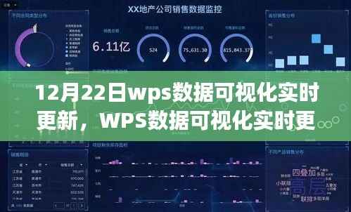 WPS数据可视化实时更新解析,探索12月22日三大要点数据可视化报告