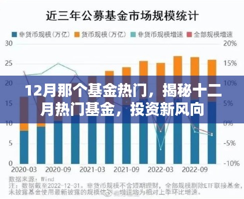 揭秘十二月热门基金，投资新风向，把握最新热门基金机会！