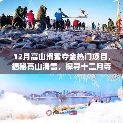 揭秘高山滑雪,十二月夺金热门项目的魅力与要点解析