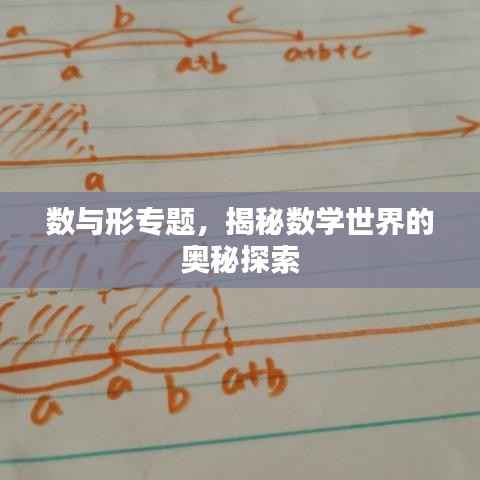 数与形专题,揭秘数学世界的奥秘探索