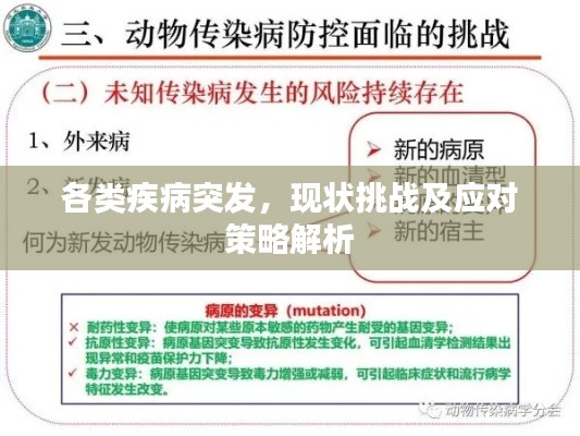 各类疾病突发,现状挑战及应对策略解析
