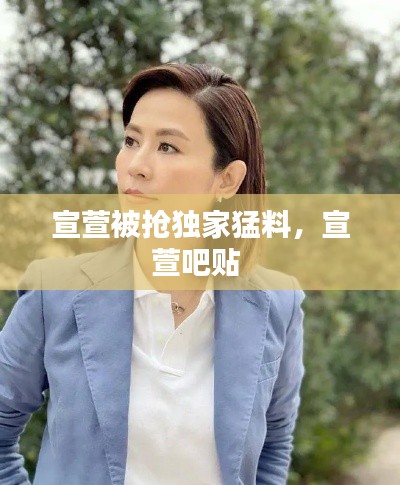 宣萱被抢独家猛料,宣萱吧贴