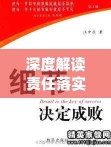 深度解读责任落实剖析材料，细节揭示成败关键