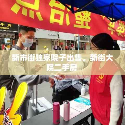 新市街独家院子出售,新街大院二手房