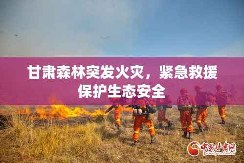 甘肃森林突发火灾,紧急救援保护生态安全