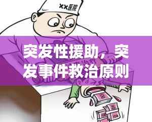 突发性援助,突发事件救治原则