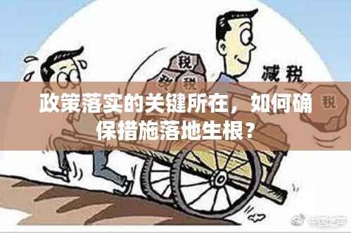 政策落实的关键所在,如何确保措施落地生根?