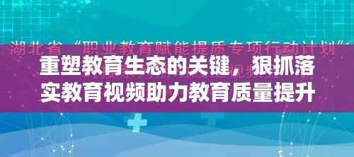 重塑教育生态的关键，狠抓落实教育视频助力教育质量提升