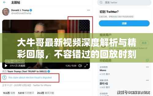 大牛哥最新视频深度解析与精彩回顾,不容错过的回放时刻