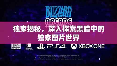 独家揭秘,深入探索黑暗中的独家图片世界