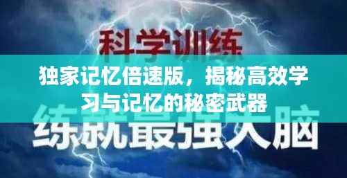 独家记忆倍速版,揭秘高效学习与记忆的秘密武器