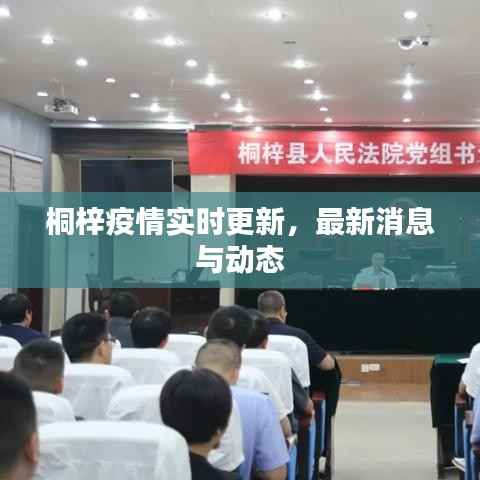 桐梓疫情实时更新，最新消息与动态