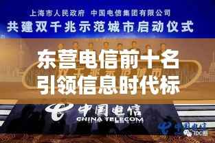 东营电信前十名引领信息时代标杆力量,行业翘楚揭秘!