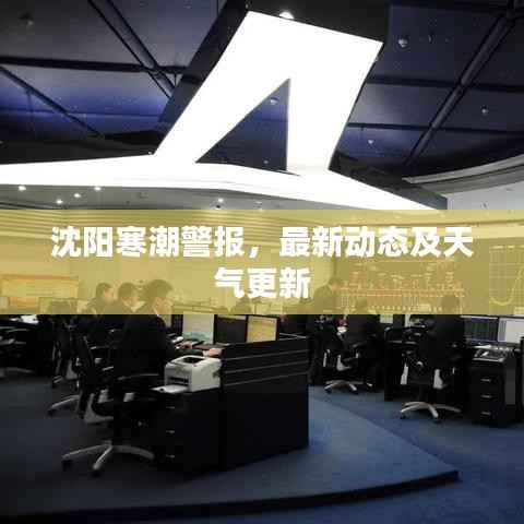 沈阳寒潮警报，最新动态及天气更新