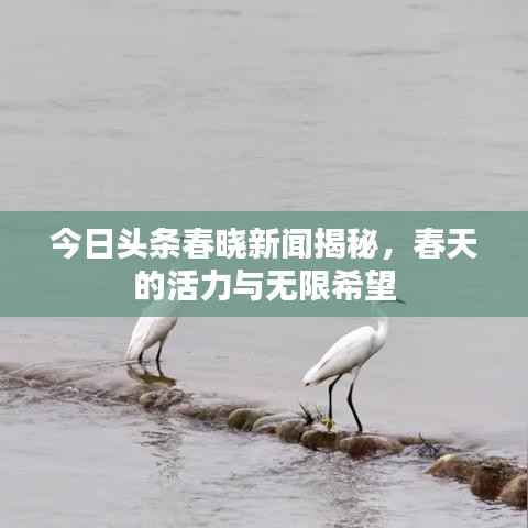 今日头条春晓新闻揭秘,春天的活力与无限希望