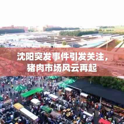 沈阳突发事件引发关注，猪肉市场风云再起