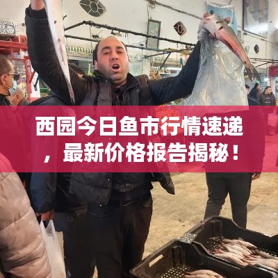 西园今日鱼市行情速递,最新价格报告揭秘!