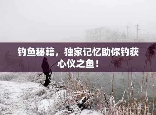 钓鱼秘籍,独家记忆助你钓获心仪之鱼!