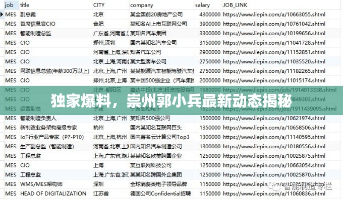 独家爆料,崇州郭小兵最新动态揭秘