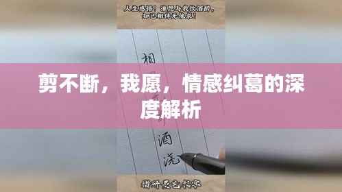 剪不断,我愿,情感纠葛的深度解析