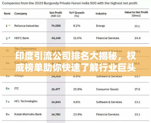 印度引流公司排名大揭秘,权威榜单助你快速了解行业巨头!