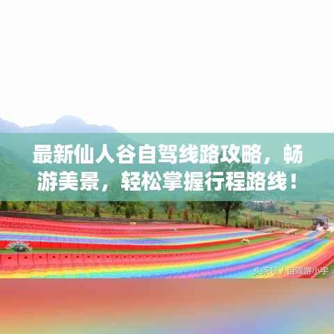 最新仙人谷自驾线路攻略，畅游美景，轻松掌握行程路线！