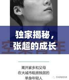 独家揭秘,张超的成长轨迹与深远影响
