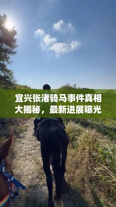 林下风范