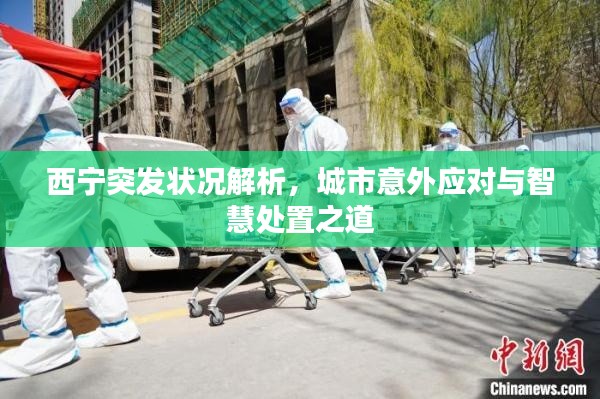 西宁突发状况解析,城市意外应对与智慧处置之道