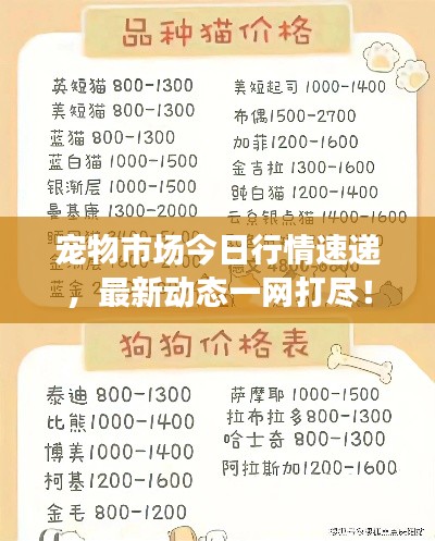 宠物市场今日行情速递,最新动态一网打尽!
