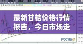 标新立异
