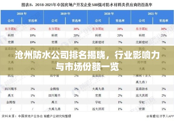 沧州防水公司排名揭晓，行业影响力与市场份额一览