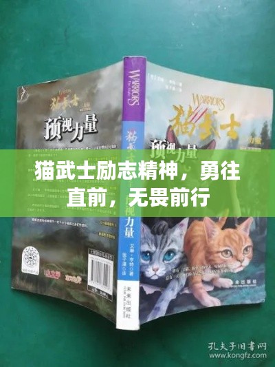 猫武士励志精神,勇往直前,无畏前行