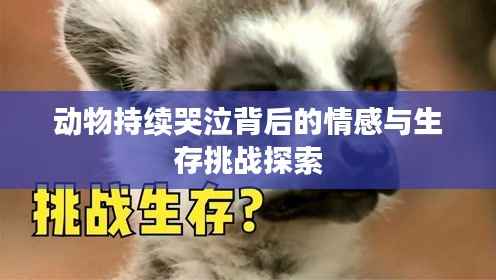 动物持续哭泣背后的情感与生存挑战探索